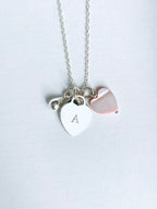 Curate your Collection