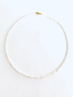 Dainty Pearl Necklace
